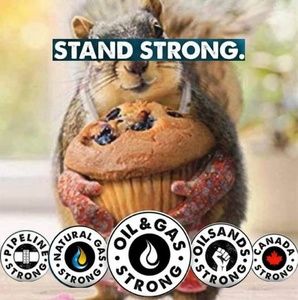 Meet your Posher, Pam